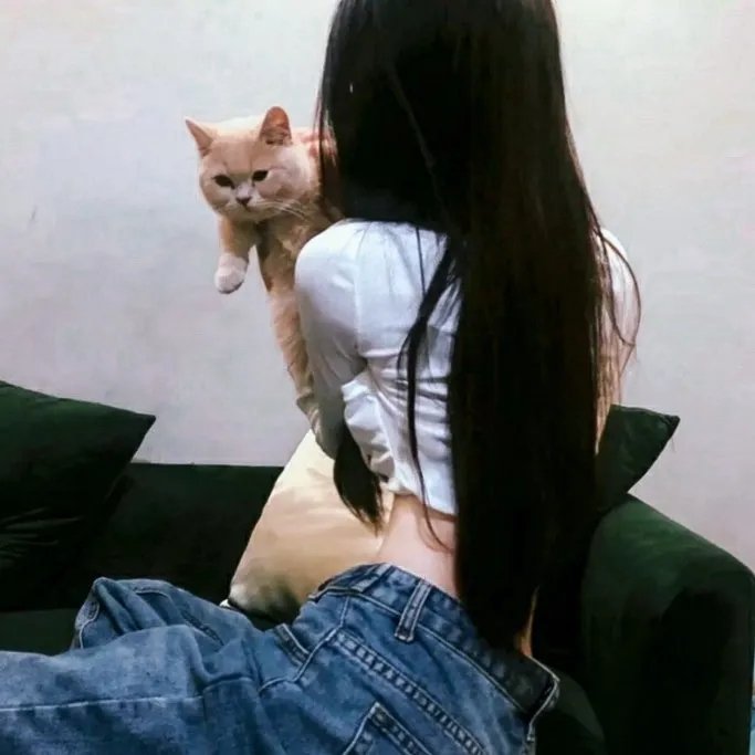 反贪局长